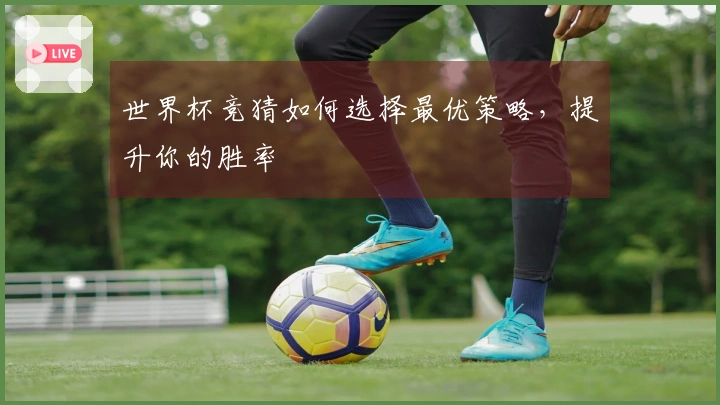 世界杯竞猜如何选择最优策略，提升你的胜率