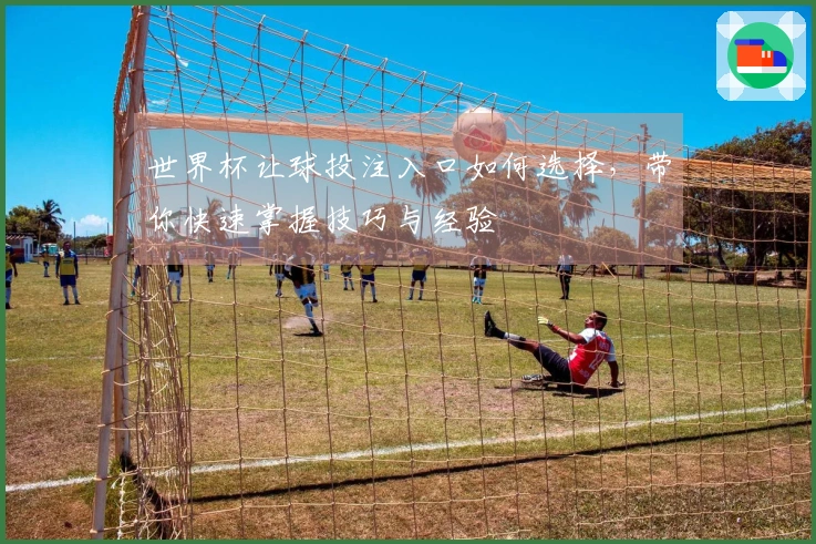世界杯让球投注入口如何选择，带你快速掌握技巧与经验