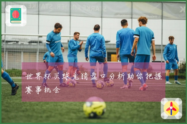 世界杯买球竞猜盘口分析助你把握赛事机会