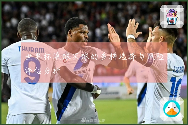 世界杯滚球买球的多样选择与风险评估分析