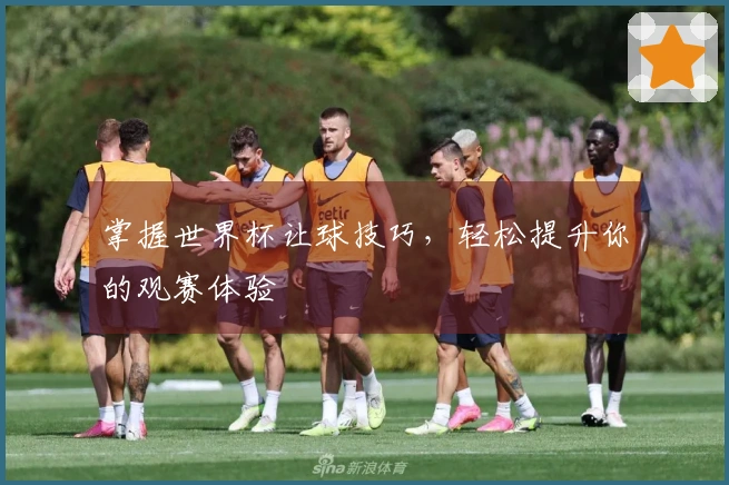 掌握世界杯让球技巧，轻松提升你的观赛体验