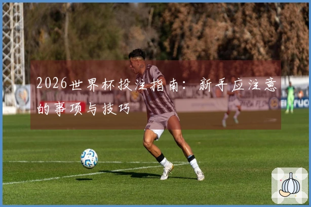 2026世界杯投注指南：新手应注意的事项与技巧