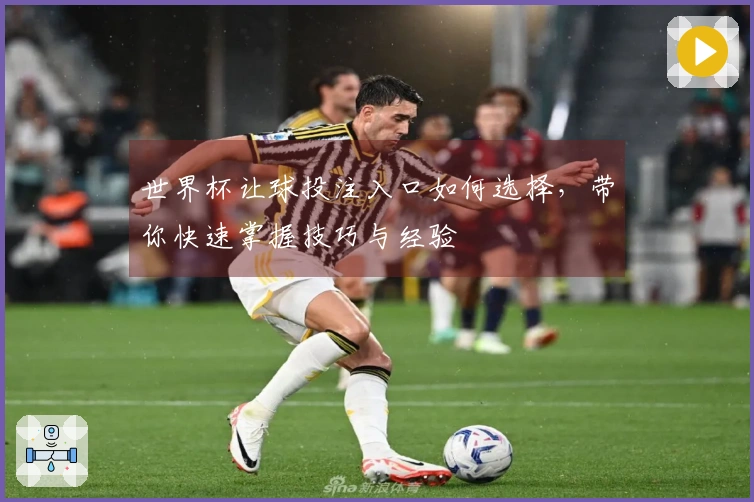 世界杯让球投注入口如何选择，带你快速掌握技巧与经验